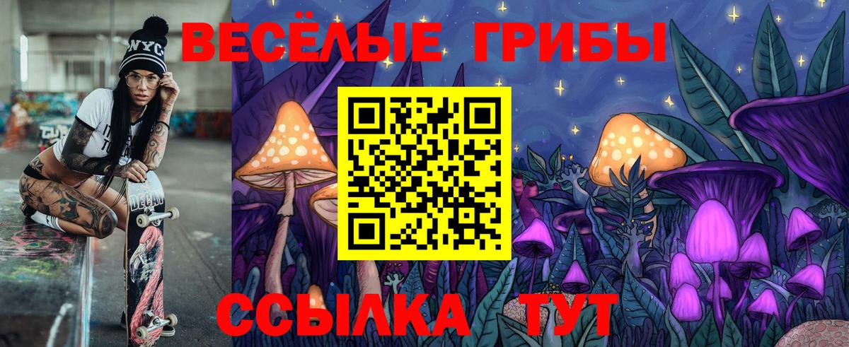 Псилоцибиновые грибы мицелий  где купить наркотик  Родники  Галлюциногенные грибы Psilocybe  Вход с VPN 